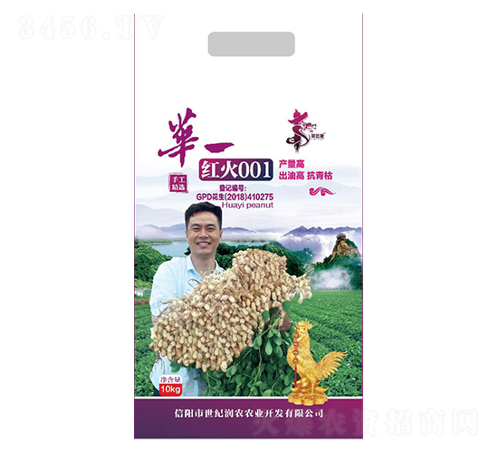 紅火001-花生種子-華一種業