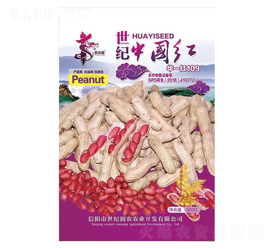 世紀中國紅華一紅109-花生種子-華一種業