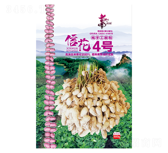 信花4號-花生種子-華一種業