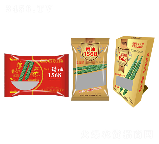 油菜種子-矮油1568-仁禾農業