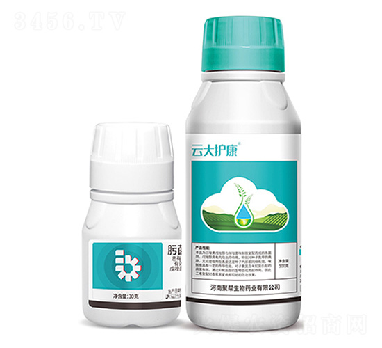 肟菌酯·戊唑醇+云大護康-聚幫