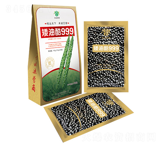 矮油酷999-恒禾種業