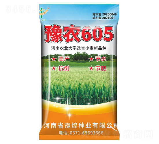 小麥種子-豫農605-豫煌農業