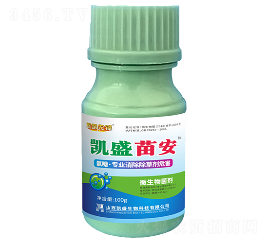Pʢ簲I݄Σ-̽·h-Pʢ