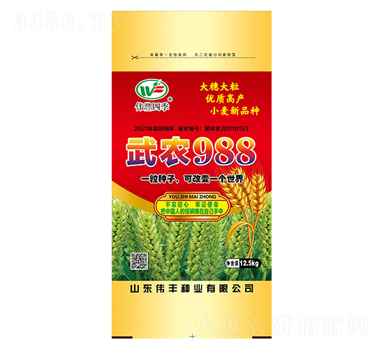 小麥種子-武農988-偉豐種業
