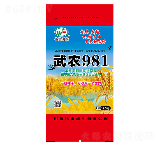 小麥種子-武農981-偉豐種業