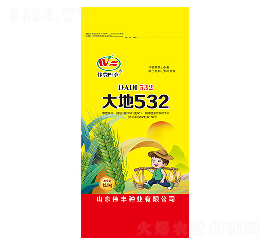 小麥種子-大地532-偉豐種業