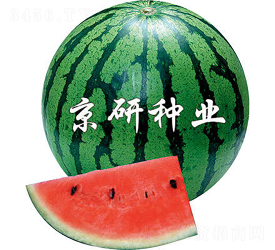 2̖-ϷN-зNI