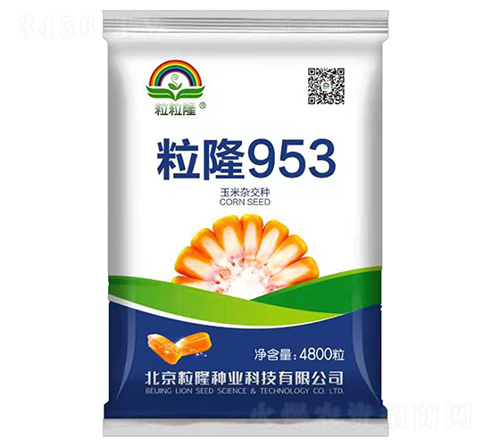 粒隆953-玉米種子-粒粒隆