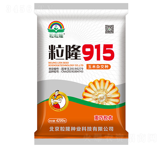 粒隆915-玉米種子-粒粒隆