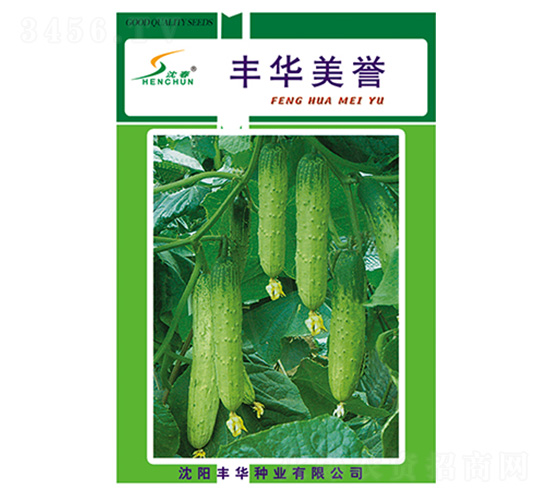 豐華美譽-黃瓜種子-豐華種業