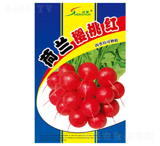 荷蘭櫻桃紅-蘿卜種子-豐華種業