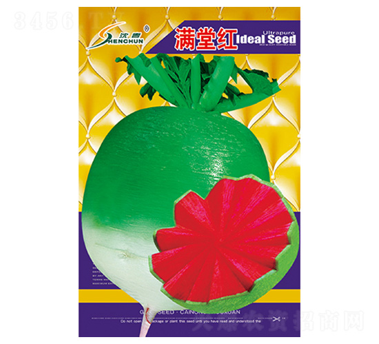 滿堂紅-蘿卜種子-豐華種業
