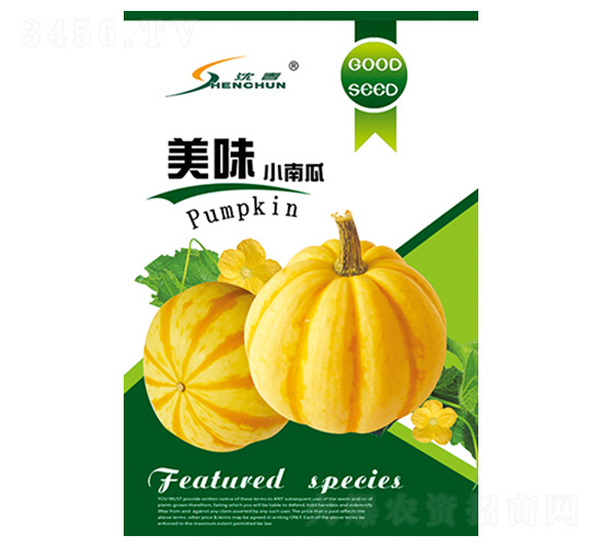 美味小南瓜-南瓜種子-豐華種業