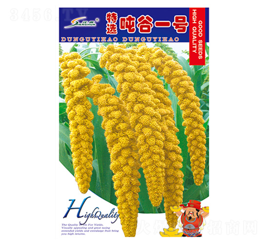 精選噸谷一號-谷子種子-豐華種業