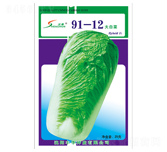 91-12ײ-ײ˷N-SANI
