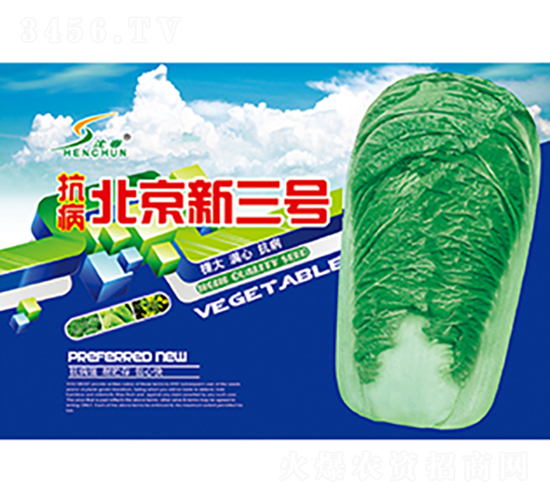 抗病北京新三號-白菜種子-豐華種業