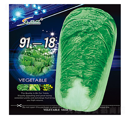 91-18-白菜種子-豐華種業