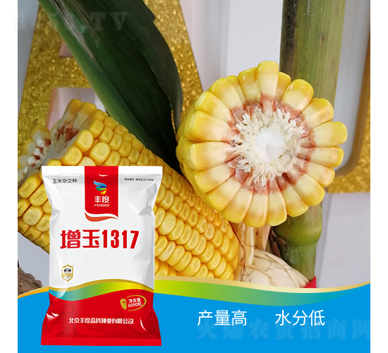 å¢žçŽ‰1317-çŽ‰ç±³ç¨®å­-è±åº¦é«˜ç§‘