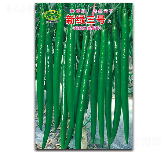 新綠三號F1-線椒種子-蕭研種業