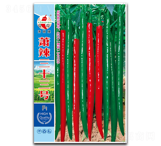 蕭辣三十三號-線椒種子-蕭研種業(yè)