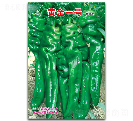 黃金一號(hào)-螺絲椒種子-蕭研種業(yè)
