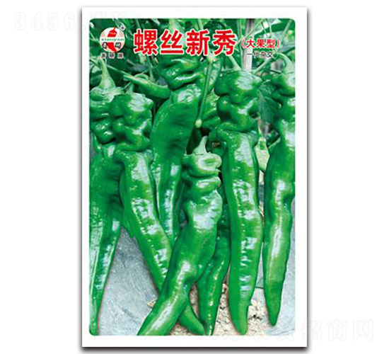 螺絲新秀-螺絲椒種子-蕭研種業