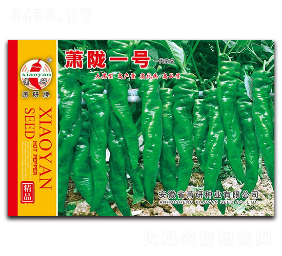 蕭隴一號-螺絲椒種子-蕭研種業