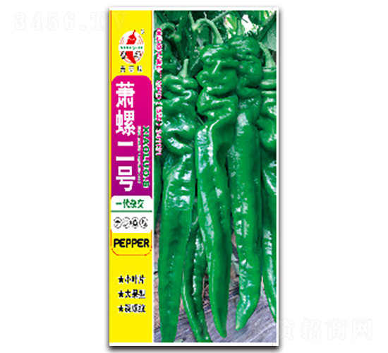 蕭螺二號-螺絲椒種子-蕭研種業