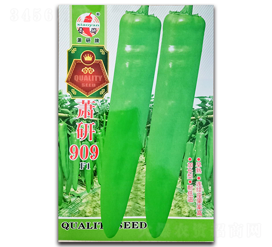 蕭研909-辣椒種子-蕭研種業