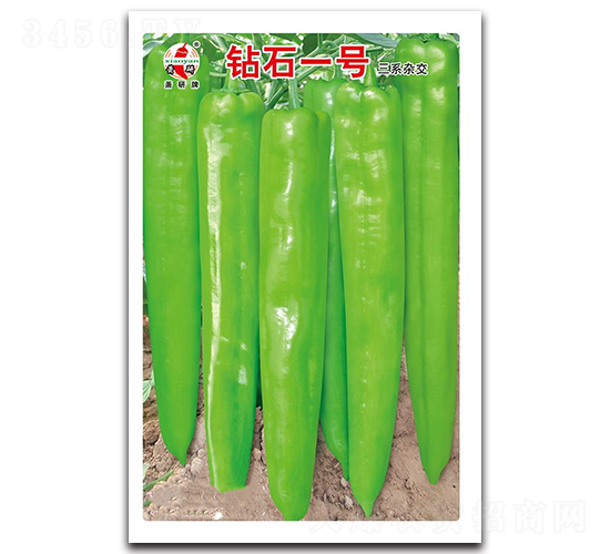 鉆石一號(hào)-辣椒種子-蕭研種業(yè)