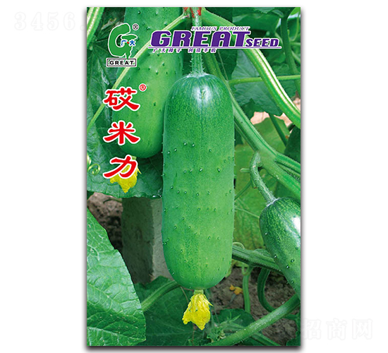 砹米力-黃瓜種子-廣大