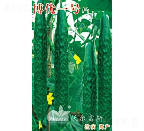 博優(yōu)一號F1（高產(chǎn)春、夏、秋黃瓜）-黃瓜種子-沃爾富斯