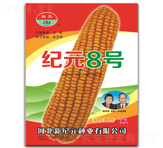 紀元8號-玉米種子-云南佑豐種業