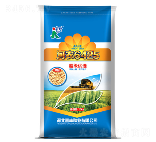 河農6425-小麥種子-嘉科
