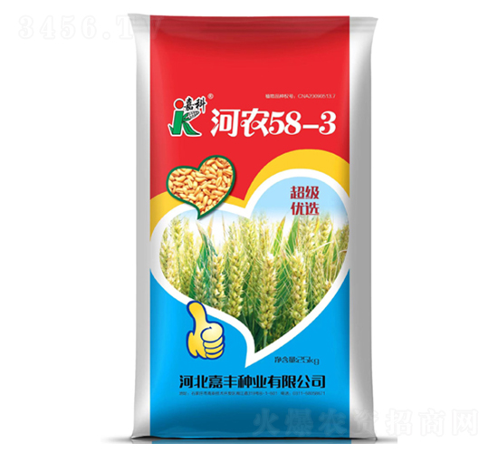 河農58-3-小麥種子-嘉科