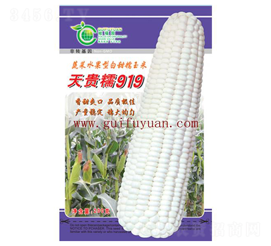 天貴糯919-玉米種子-桂福園農業