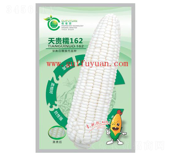 天貴糯162-玉米種子-桂福園農業