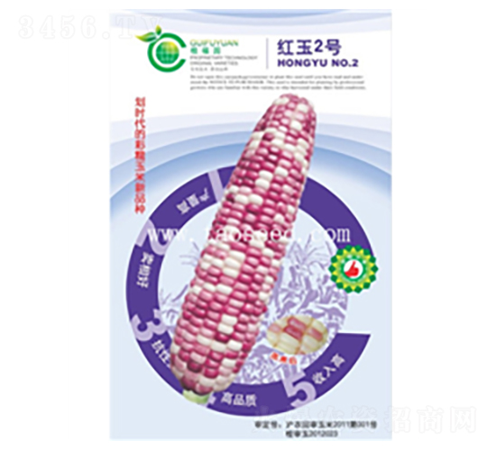 紅玉2號-玉米種子-桂福園農業