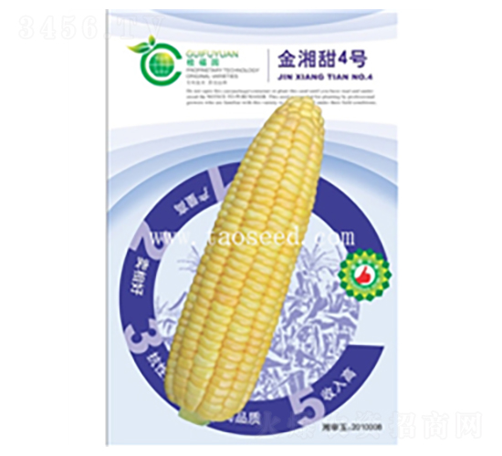 金湘甜4號-玉米種子-桂福園農業