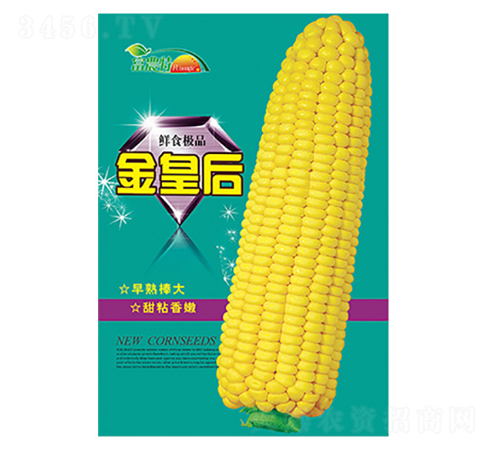 玉米種子-金皇后-科星