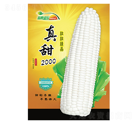 玉米種子-真甜2000-科星