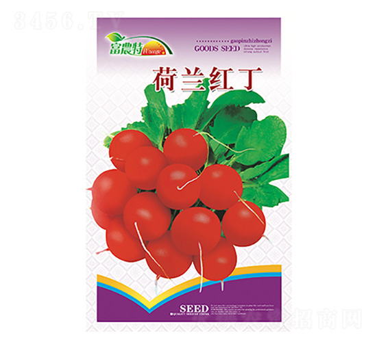 è˜¿åœç¨®å­-è·è˜­ç´…ä¸-ç§‘æ˜Ÿ