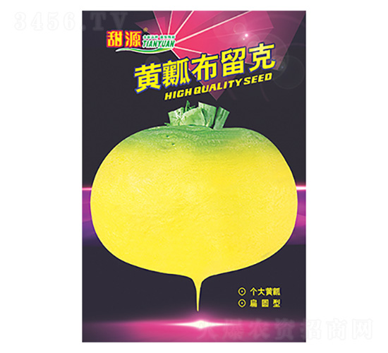è˜¿åœç¨®å­-é»ƒç“¤å¸ƒç•™å…‹é»‘ç‰ˆ-ç§‘æ˜Ÿ