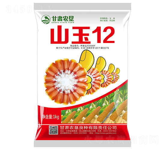 山玉12-玉米種子-甘肅農墾