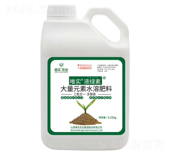 唯實·液綠素