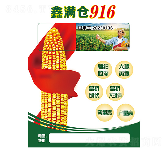 玉米種子-鑫滿倉916-久翔農(nóng)業(yè)
