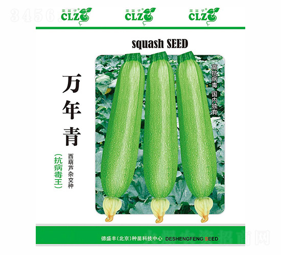 萬年青-德盛豐