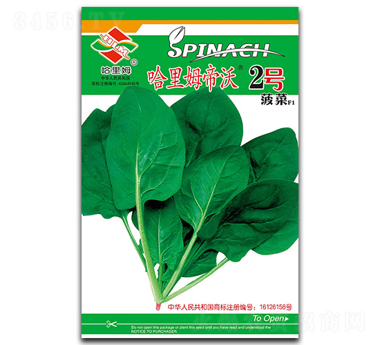 哈里姆帝沃2號-菠菜種子-哈里姆