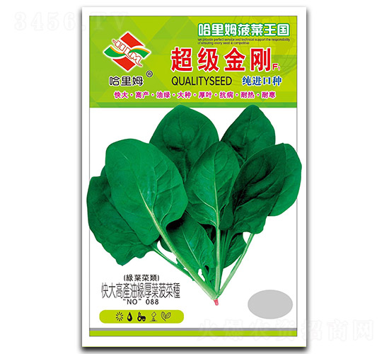 超級金剛-菠菜種子-哈里姆